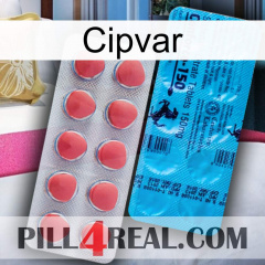 Cipvar new14